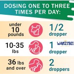 肝脏支持滴剂生产商-奶蓟草配方