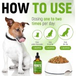 宠物益生菌厂家-益生元消化酶专业