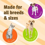 Cat Joint Chews Supplier - Wholesale Custom Hip Joint Support