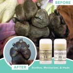 Organic Paw Wax Supplier - WANZIBEI OEM/ODM Heals Repairs