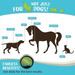 犬用爪膏供应商-可定制100%天然