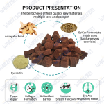 Lysine Soft Chews Manufacturer - Wholesale Custom Immune Support