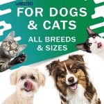 肝脏支持滴剂生产商-奶蓟草配方