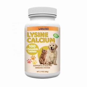 Lysine Tablets for Cats Factory - Private Label Probiotic Immunity