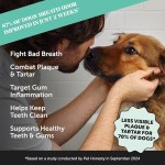 犬用口气清新剂厂家-可定制牙科粉牙垢去除