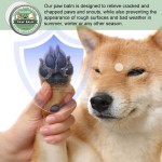 Eco-Friendly Paw Balm Manufacturer - Stocked Heals Soothes