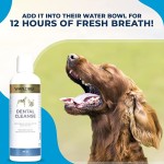 宠物口腔护理供应商-可定制牙科水