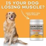 肌肉建设补充剂供应商-可定制自然衰老恢复