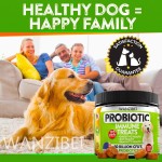 犬用益生菌咀嚼片厂家-全天然益生元南瓜