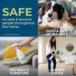 防跳蚤喷雾供应商-定制标签植物精油