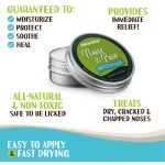 犬用爪膏供应商-可定制100%天然