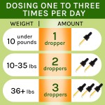 止咳剂生产商-犬窝咳犬猫缓解