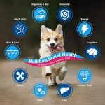 复合维生素粉厂家-益生菌关节皮肤免疫