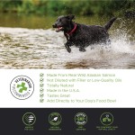 过敏支持滴剂生产商-三文鱼油EpiCor