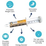 宠物营养凝胶厂家-高卡路里免疫