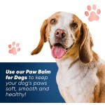 犬用爪膏生产商-可定制现货