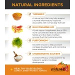 犬用髋关节咀嚼片厂家-MSM活动支持170片