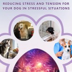 宠物镇静咀嚼片厂家-OEM批发焦虑压力吠叫缓解