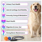 动物液体维生素厂家-15合1复合维生素滴剂皮肤毛发心脏