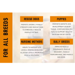 宠物肌肉补充剂厂家-私标高蛋白粉增肌