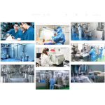 狗过敏咀嚼片厂家-奥耐瘙痒皮肤缓解免疫健康软零食