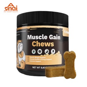 Pet Supplement Chew Manufacturer - Multivitamin Probiotics Hip Joint Salmon Oil