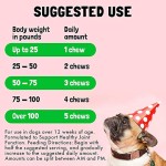 宠物关节补充剂厂家-葡萄糖胺软骨素MSM活动支持