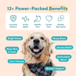 宠物补充剂咀嚼片厂家-卡尔康佐25合1鸡肉味维生素