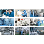 狗增肌咀嚼片厂家-高蛋白优质增肌全犬种