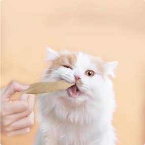 宠物零食厂家-OEM/ODM冻干鸭胸缓解泪痕