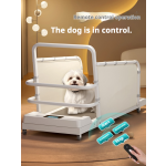 宠物跑步机厂家-中小号环保互动行走机