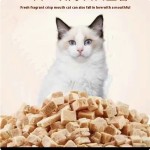 冻干宠物食品厂家-OEM/ODM高蛋白鸭肝颗粒