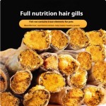 猫零食厂家-OEM/ODM冻干毛鳞鱼钙质丰富