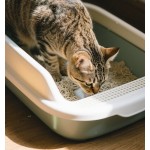 自动猫厕所厂家-高防溅大号半封闭20L