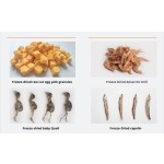 冻干宠物食品厂家-OEM/ODM鸡肝颗粒滋养