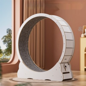 Cat Treadmill Factory - Eco-Friendly High Fiber Colorful Mute Fitness Wheel