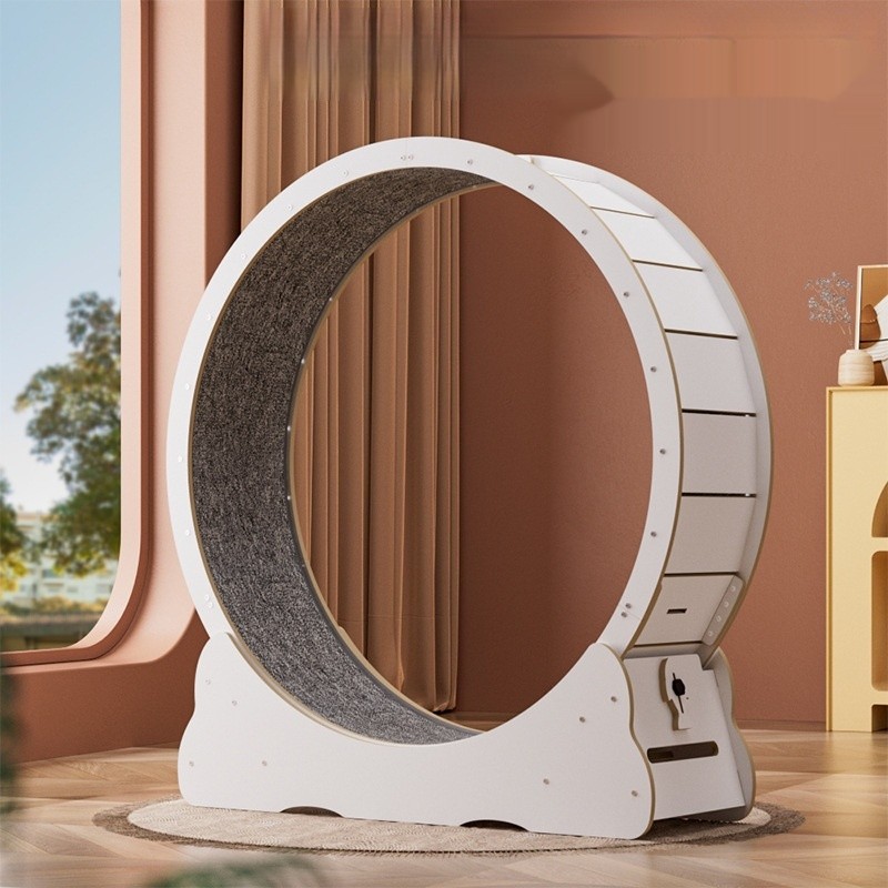 猫跑步机厂家-环保高纤维彩色静音健身轮