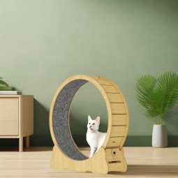 猫跑步机厂家-环保实木彩色静音健身轮