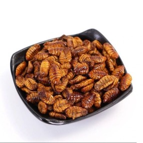 Silkworm Pupa Manufacturer - Rich Nutritious High Protein