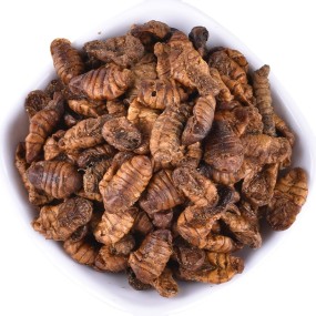 Dried Silkworm Pupa Factory - Cheap Price Healthy Larva
