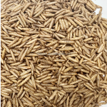 微波干燥钙虫厂家-批发天然宠物食品