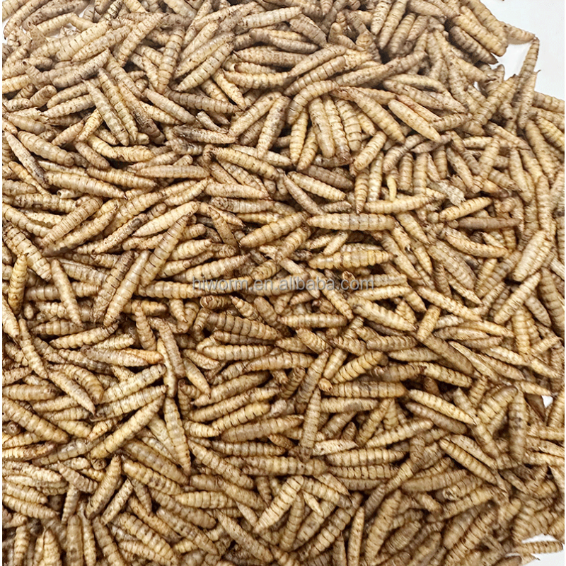 微波干燥钙虫厂家-批发天然宠物食品