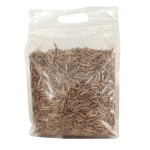 黑水虻幼虫供应商-高蛋白5磅批量