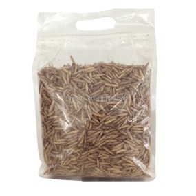 Black Soldier Fly Larvae Supplier - High Protein 5Lbs Bulk