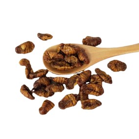 Silkworm Pupae for Koi Supplier - Guaranteed Quality Bird Feed