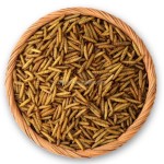 微波干燥钙虫厂家-批发天然宠物食品