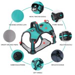 宠物背带厂家-厂家豪华运动反光带防爆冲功能