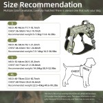 狗背带厂家-PU网眼反光战术时尚运动包兼容