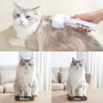Pet Dry Brush Supplier - Customizable Eco-Friendly Universal Hair Cleaning Solution