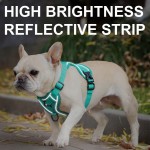 狗背带厂家-热销双层柔软可调反光网眼